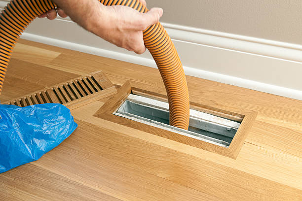 Best Professional Duct Cleaning Services  in Mount Dora, FL