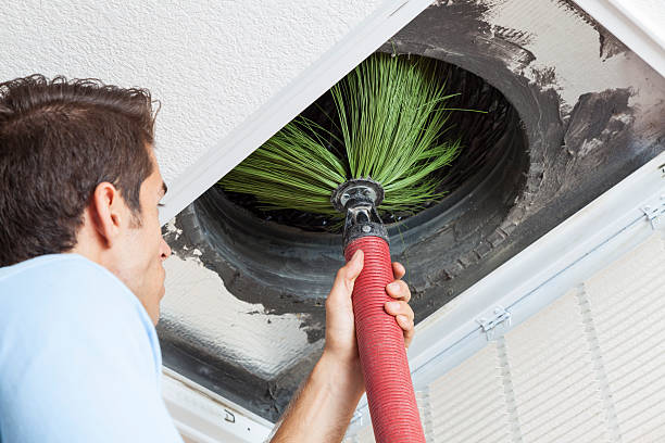 Best Commercial Air Duct Cleaning  in Mount Dora, FL